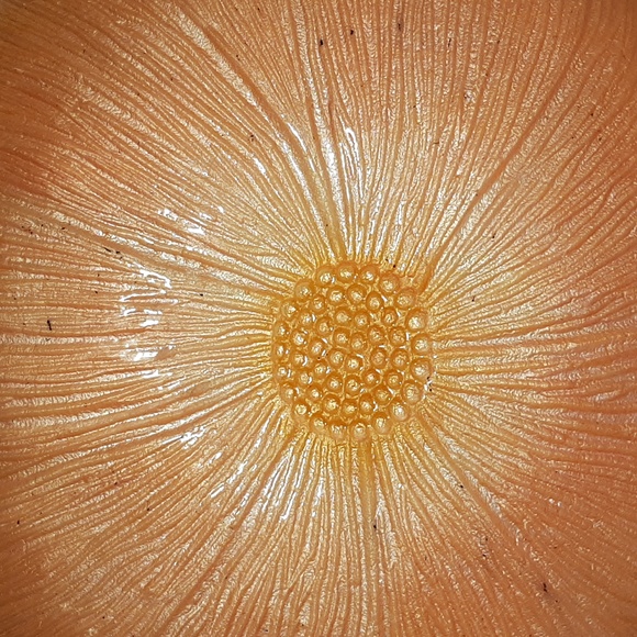 Large Silver and Pink Flower Shape Decorative Centerpiece Fruit Table Bo… - Picture 3 of 9